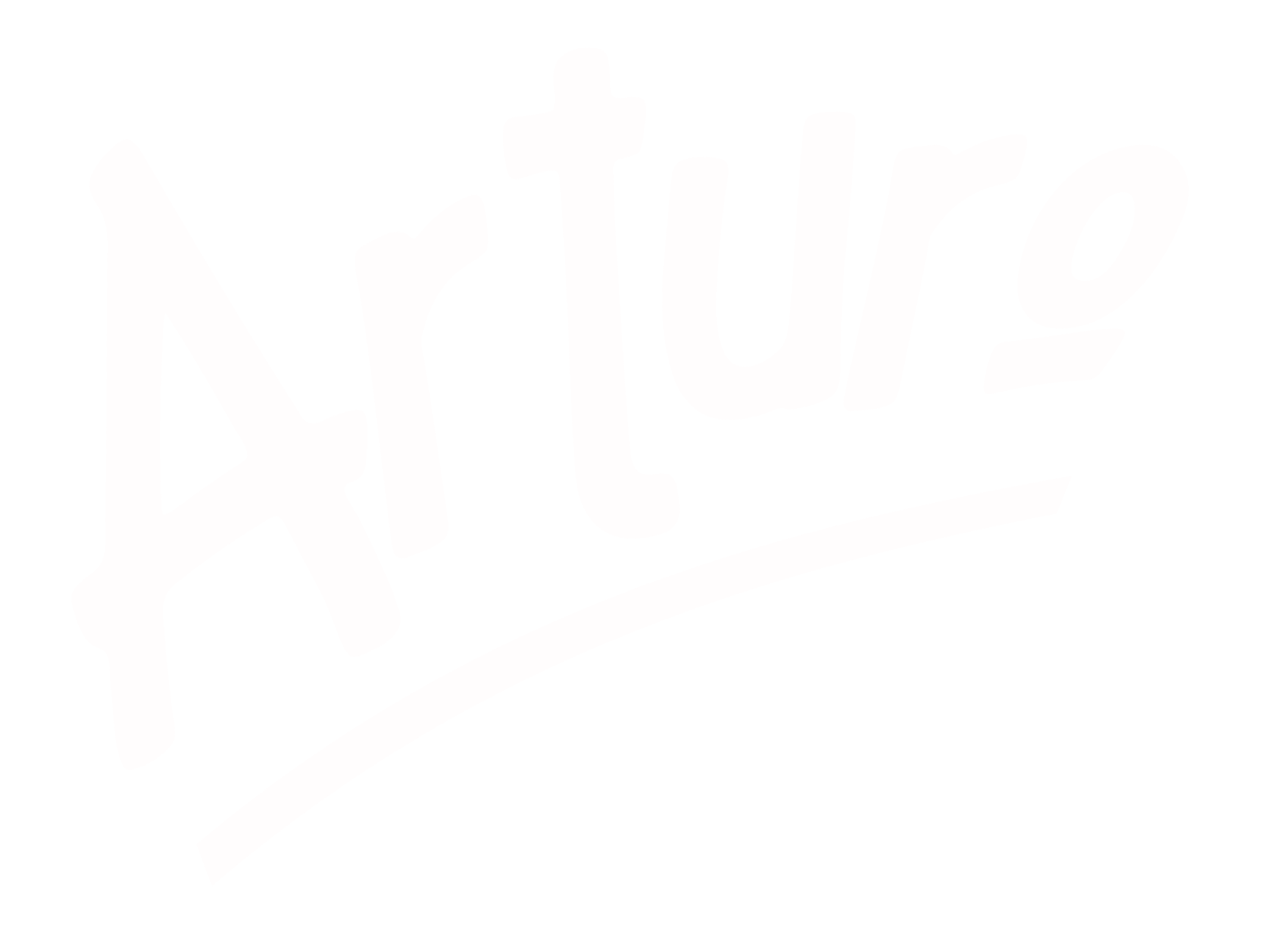 Arturo Clothing