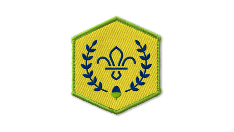Chief Scout's Acorn Award