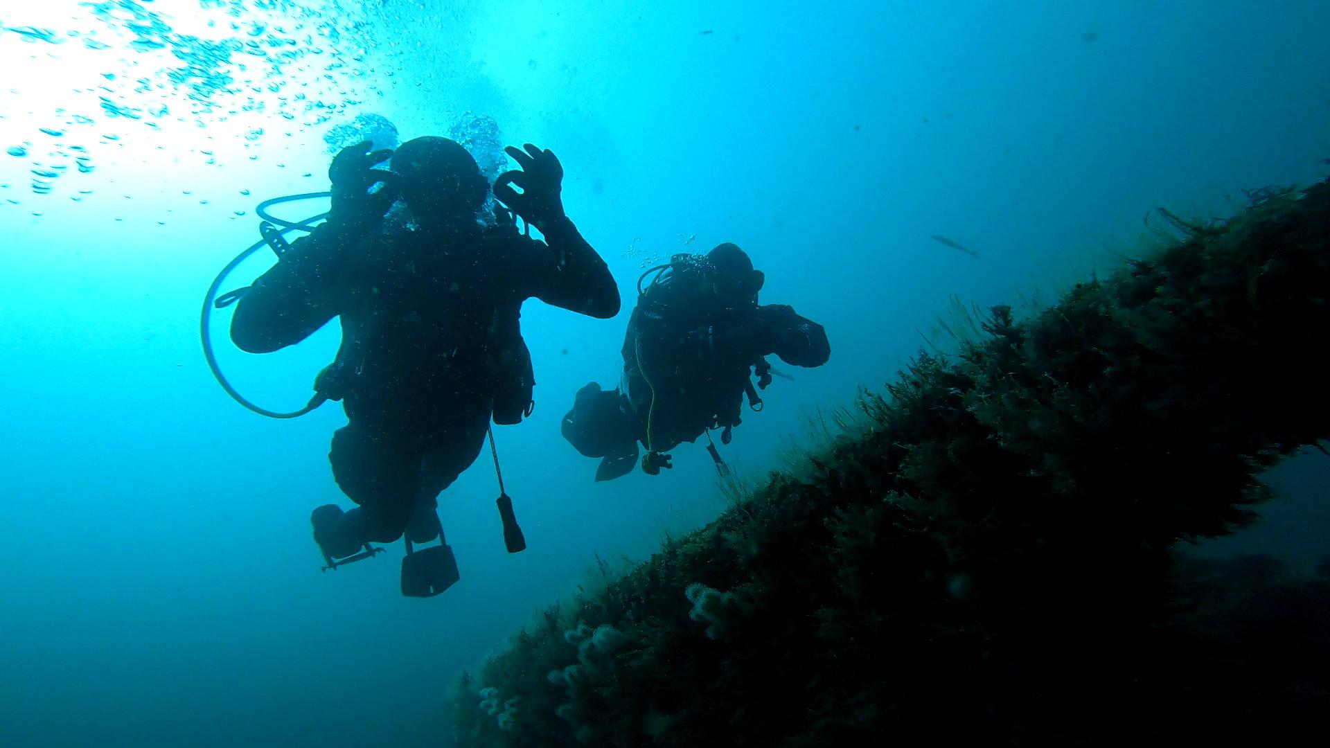 Be Lead by Expaerienced Professional Diver