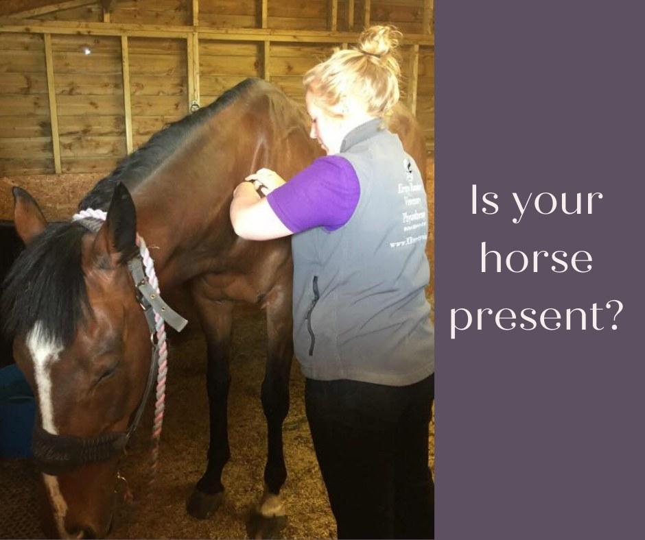 Is your horse present?