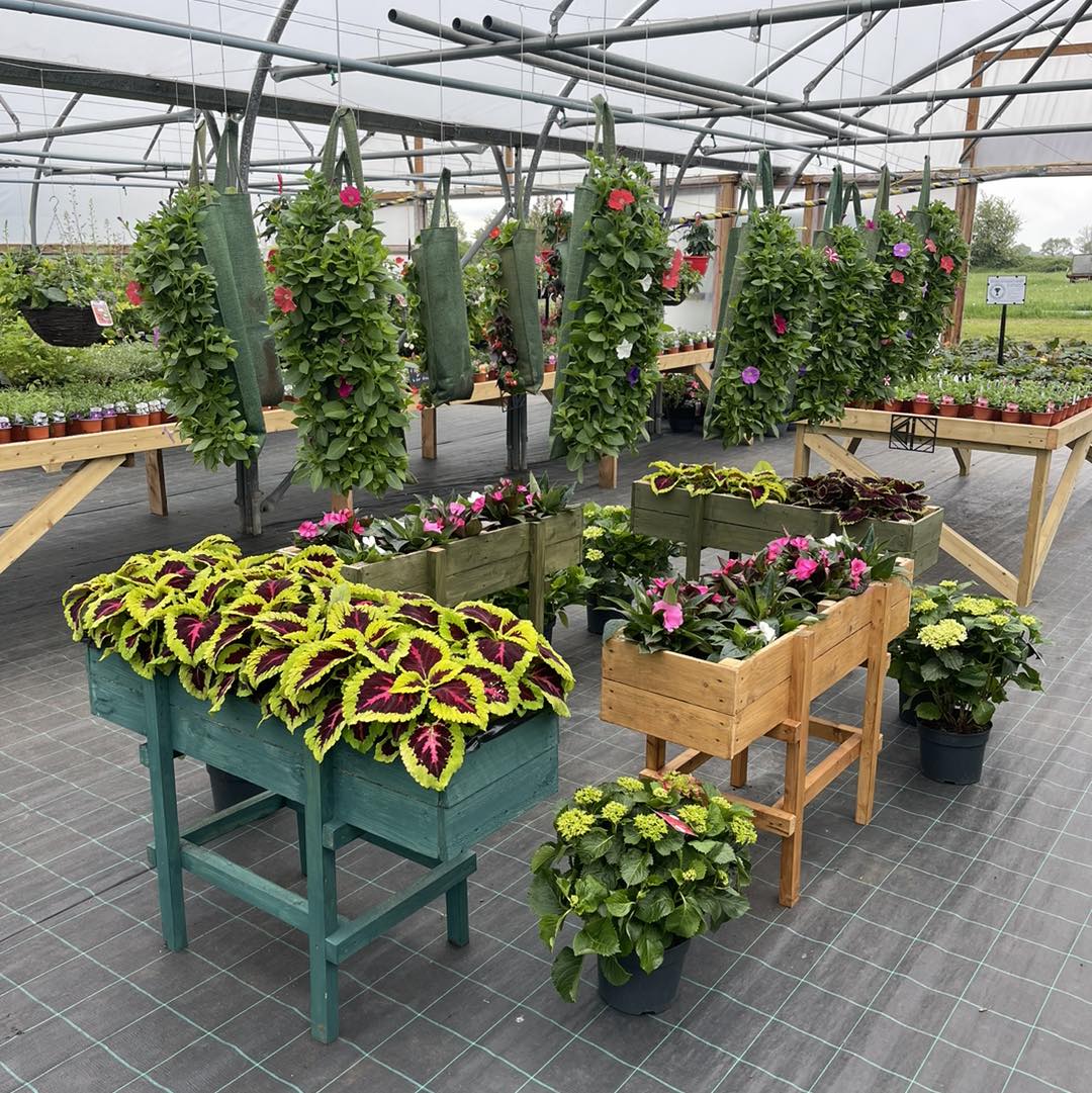 Needhams Nurseries Tickhill