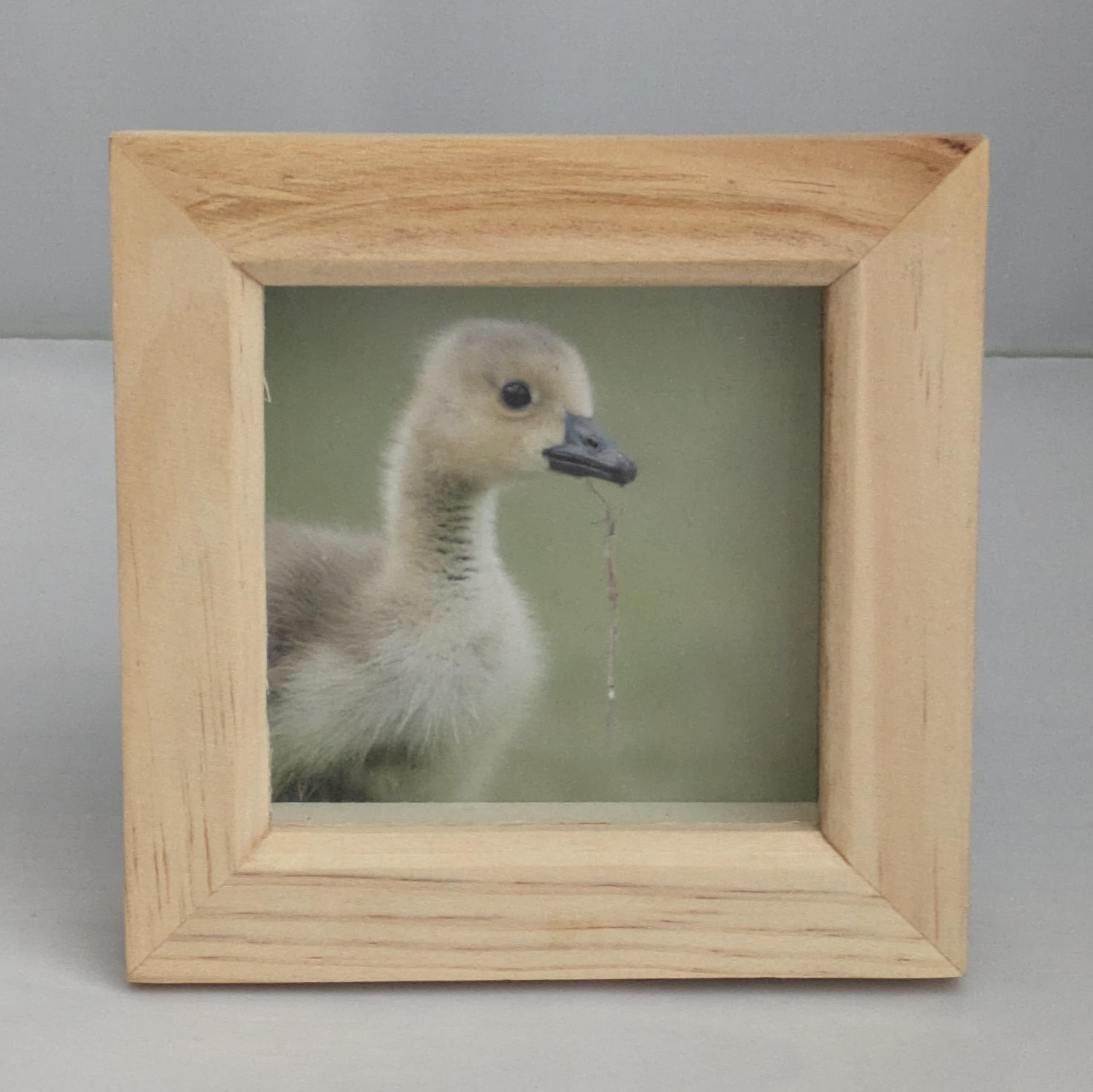 Gosling small box frame