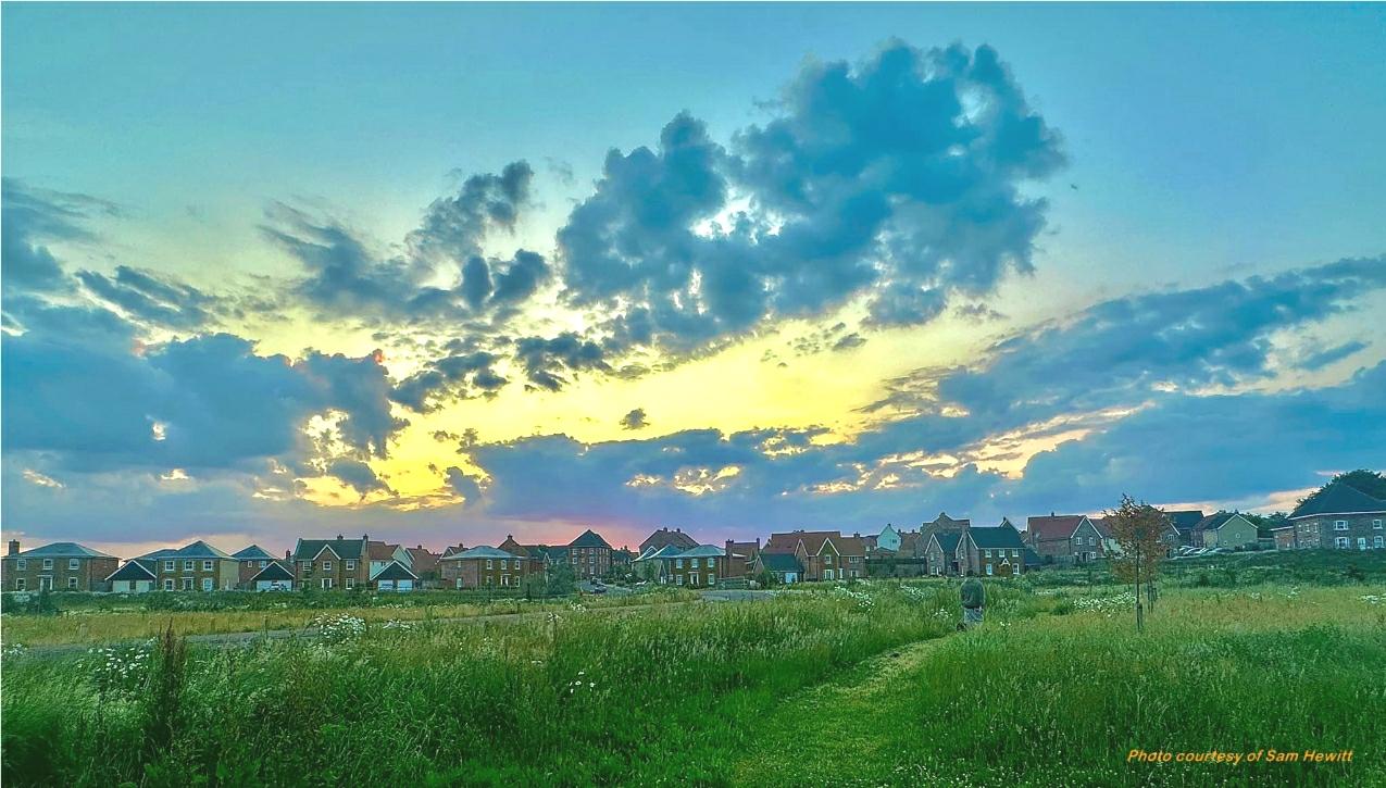 Home Page [www.butterfieldmeadow.co.uk]