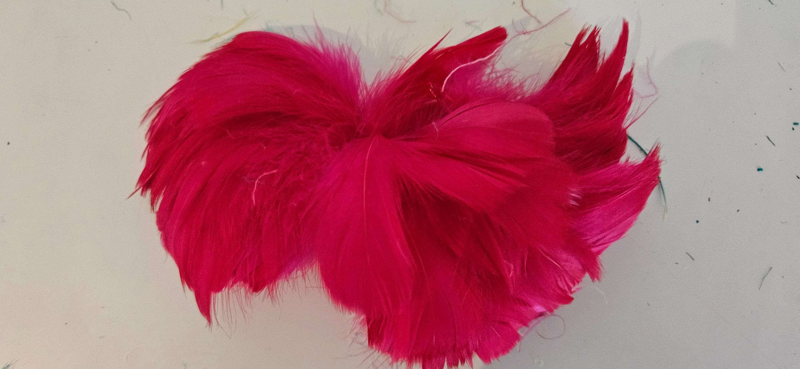 Dyed Feathers - Packet