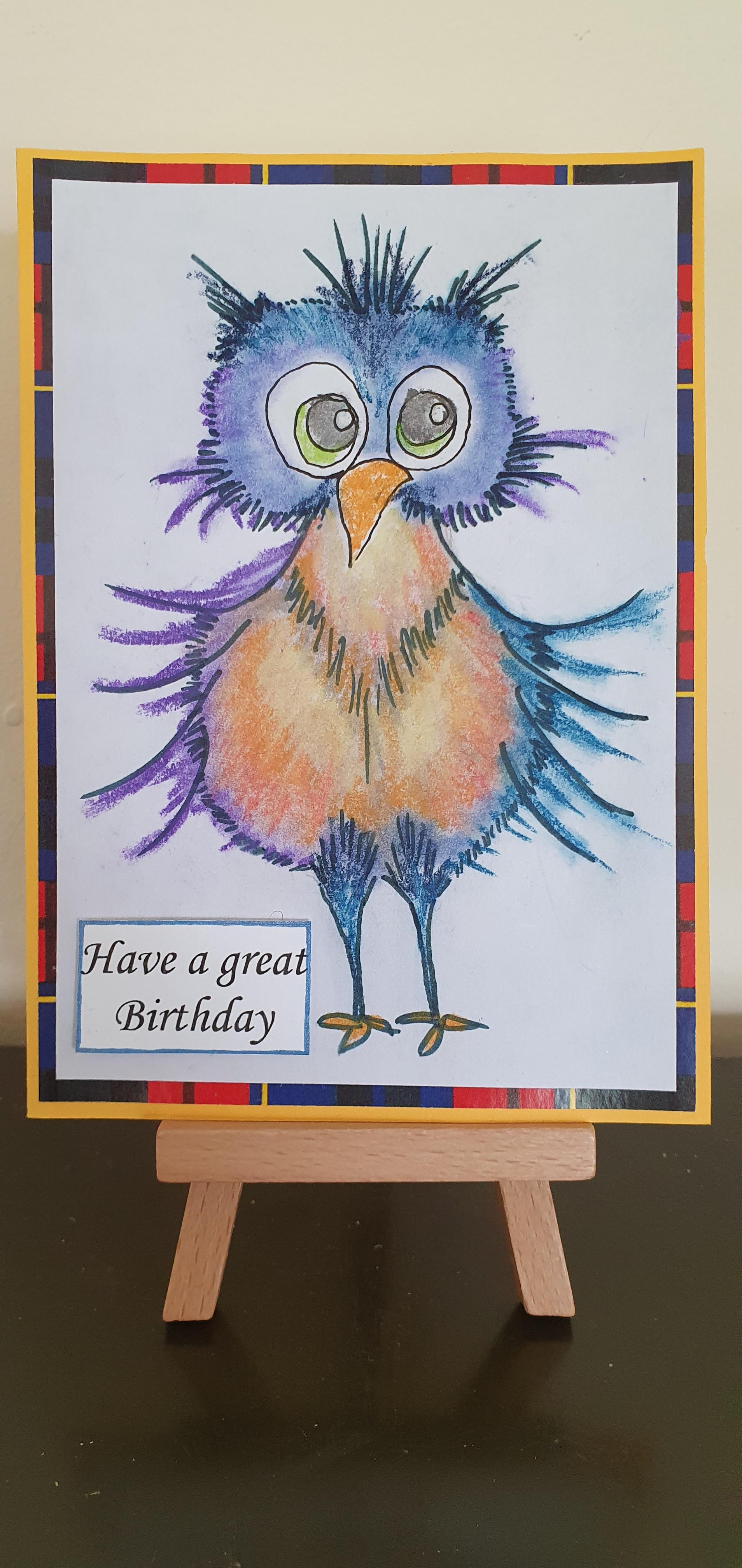 Crazy Bird Birthday Card 4 pack