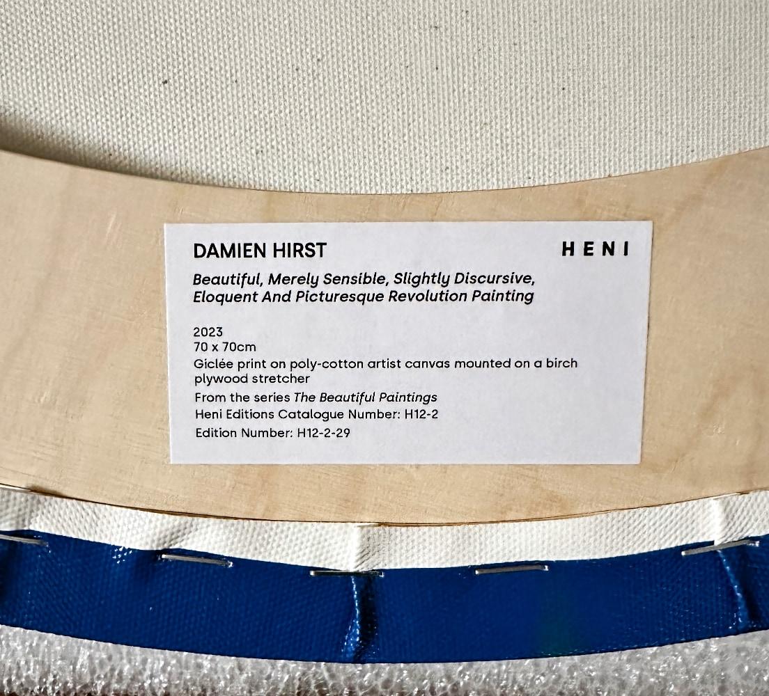 Damien Hirst - Beautiful, Merely Sensible, Slightly Discursive...
