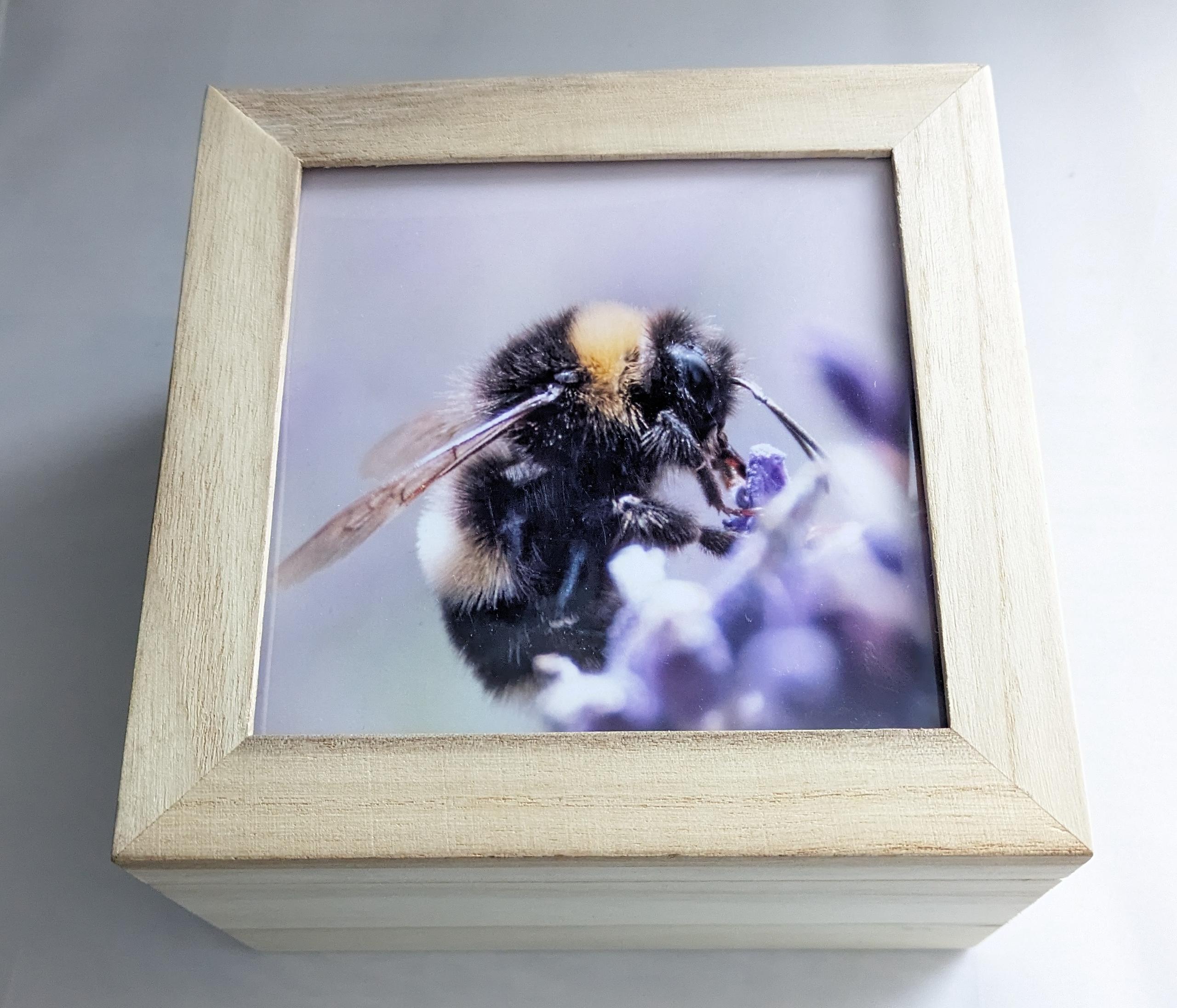 Bumble bee photo box