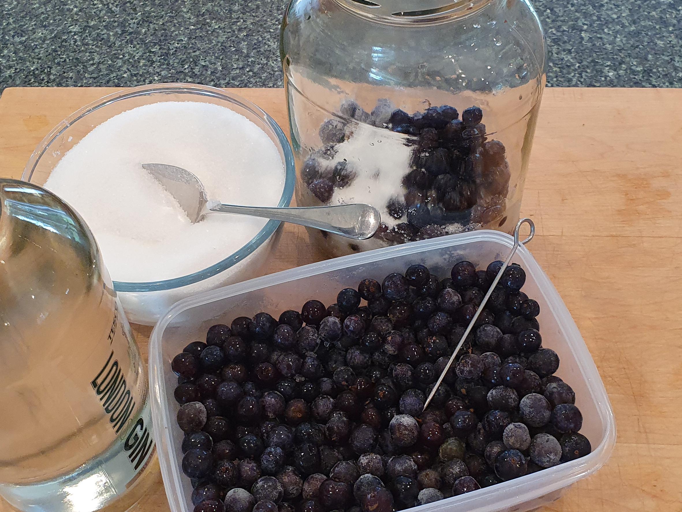 Sloe Gin Making