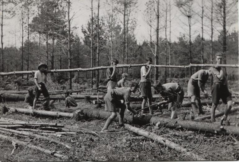 Scouts working the land WWII