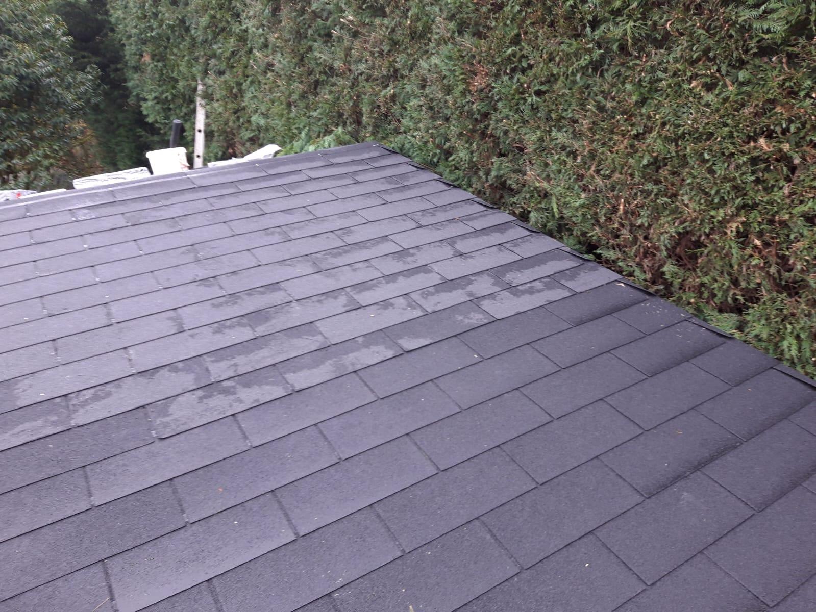 Roof Shingles