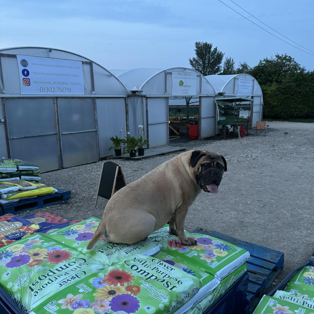 Needhams Nurseries Tickhill