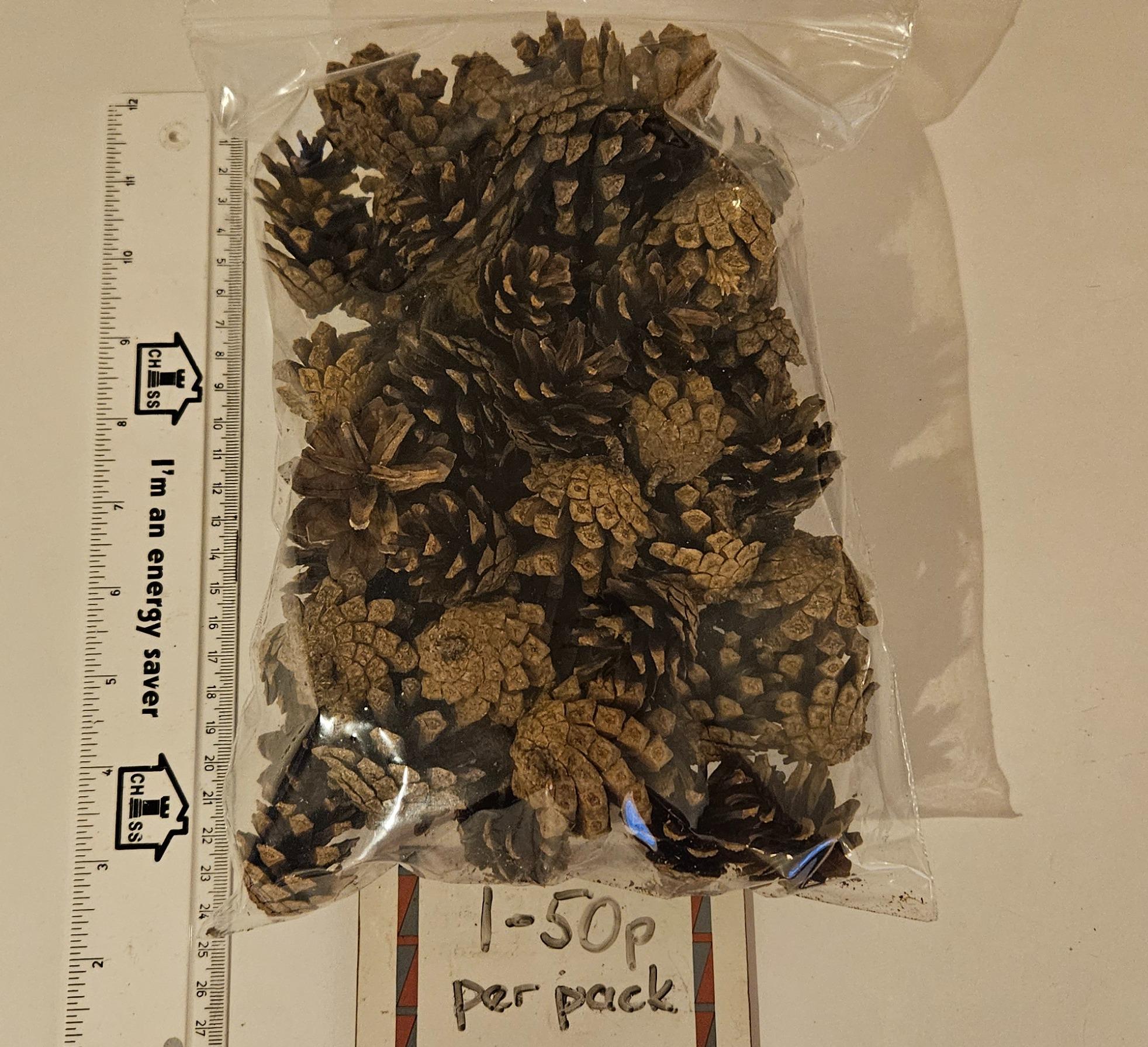 Fir Cones