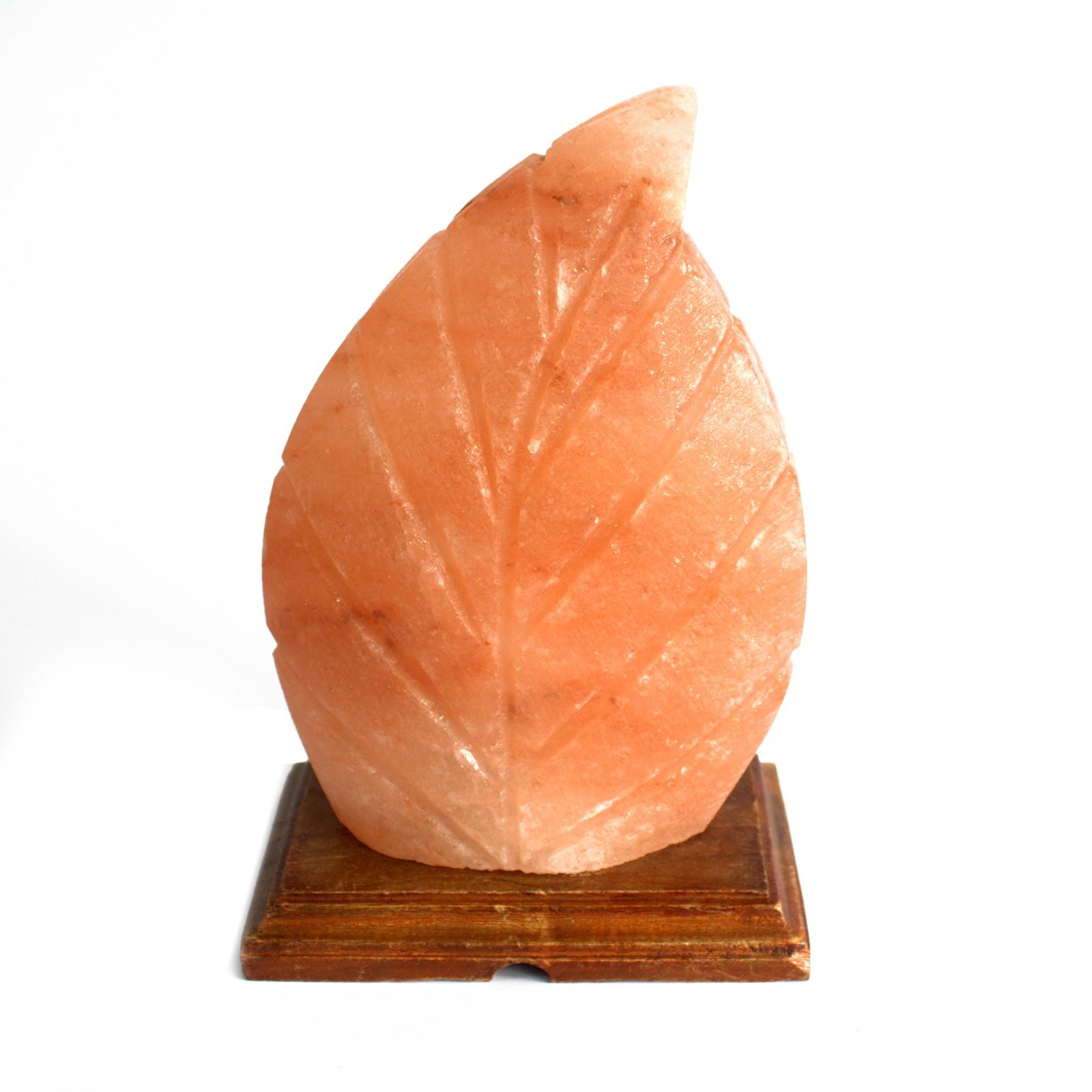 Fern Shape Himalayan Salt Lamp - 2.4kg