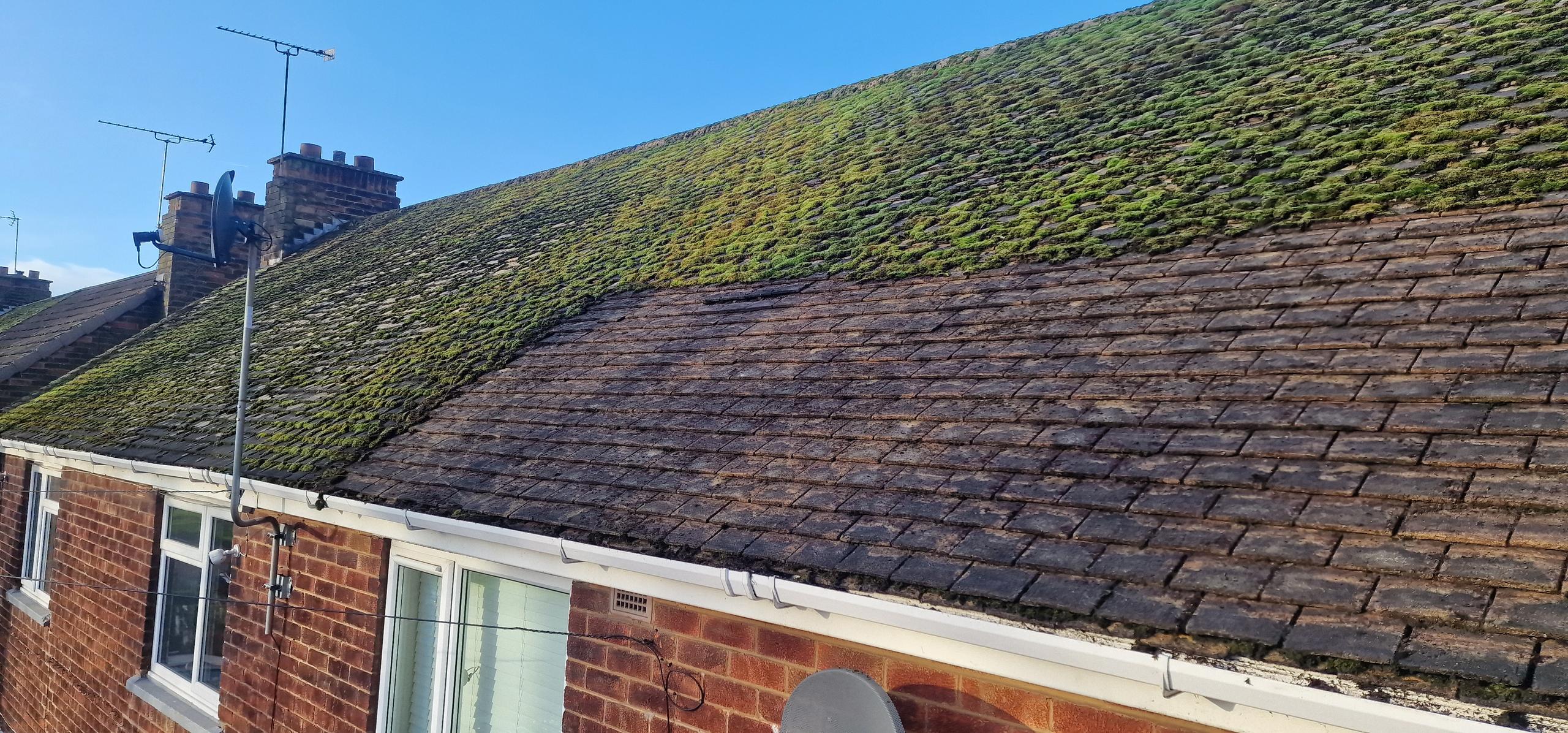 Moss removal in Ashby