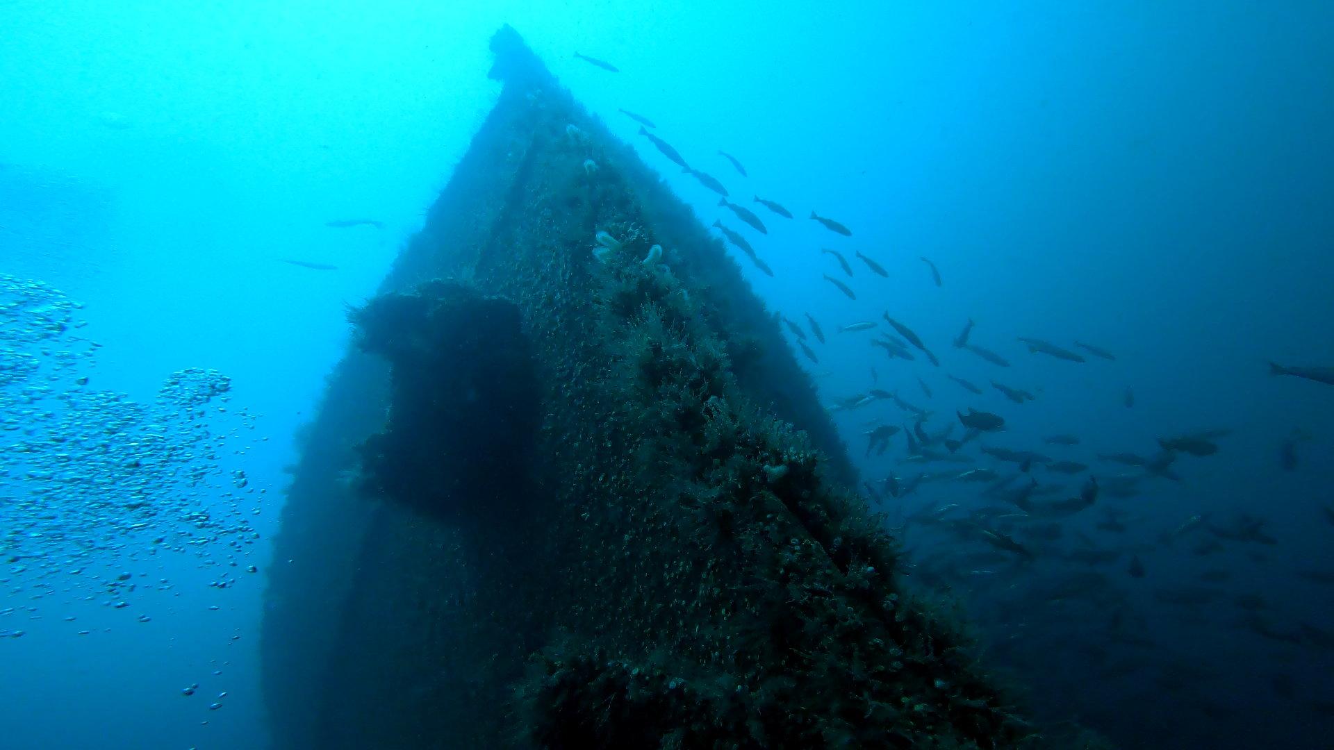 Padi Wreck Diving Speciality