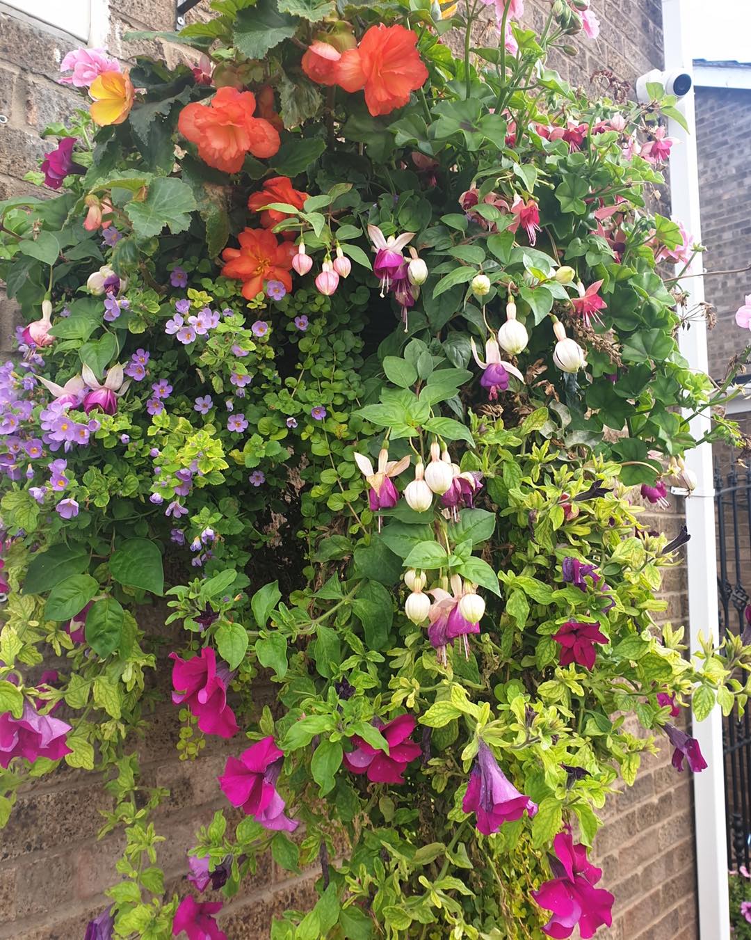 Needhams Nurseries Tickhill