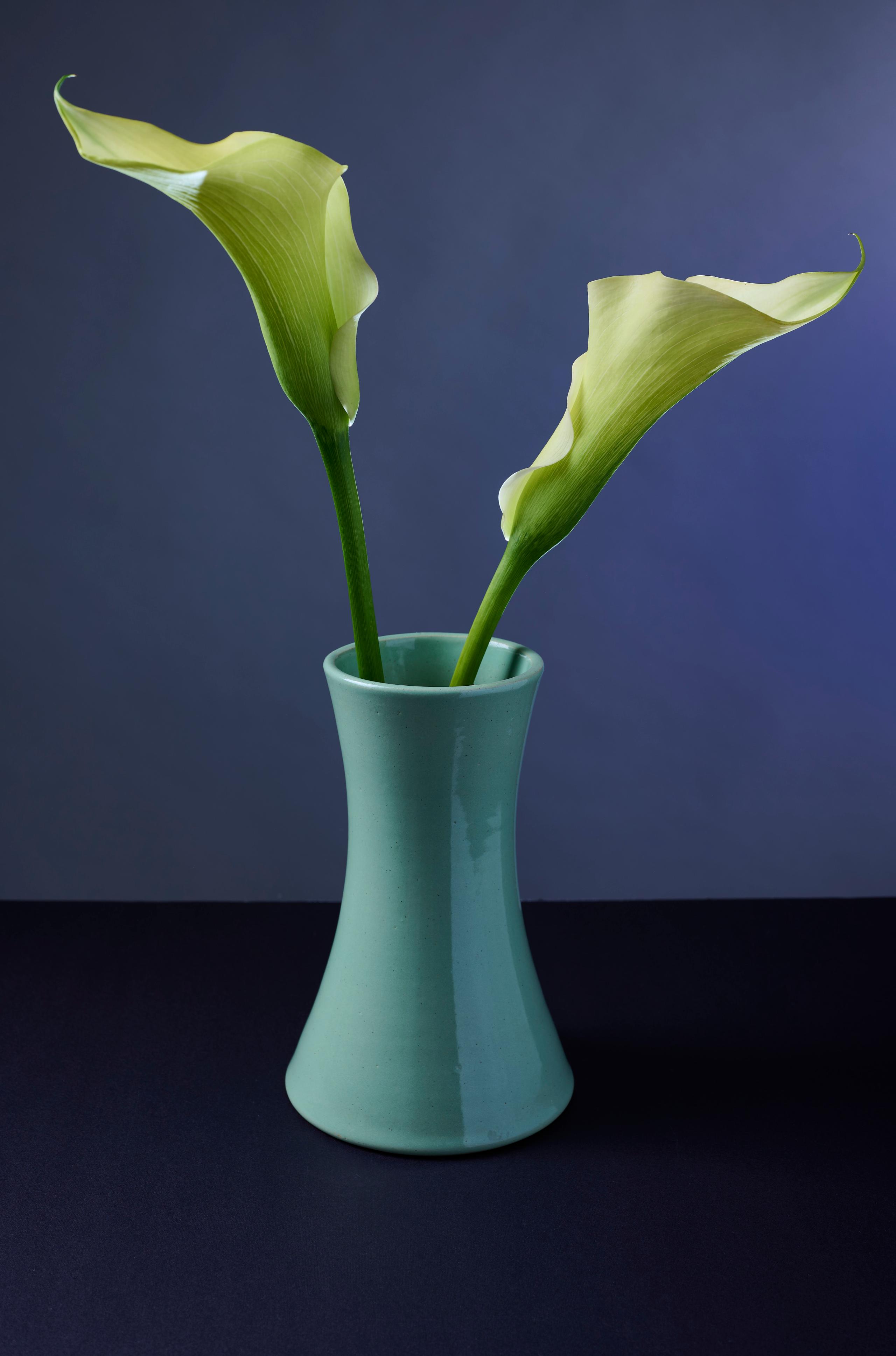 Photo Art No.2 Lilies in Vase. 16x10.5 inch.