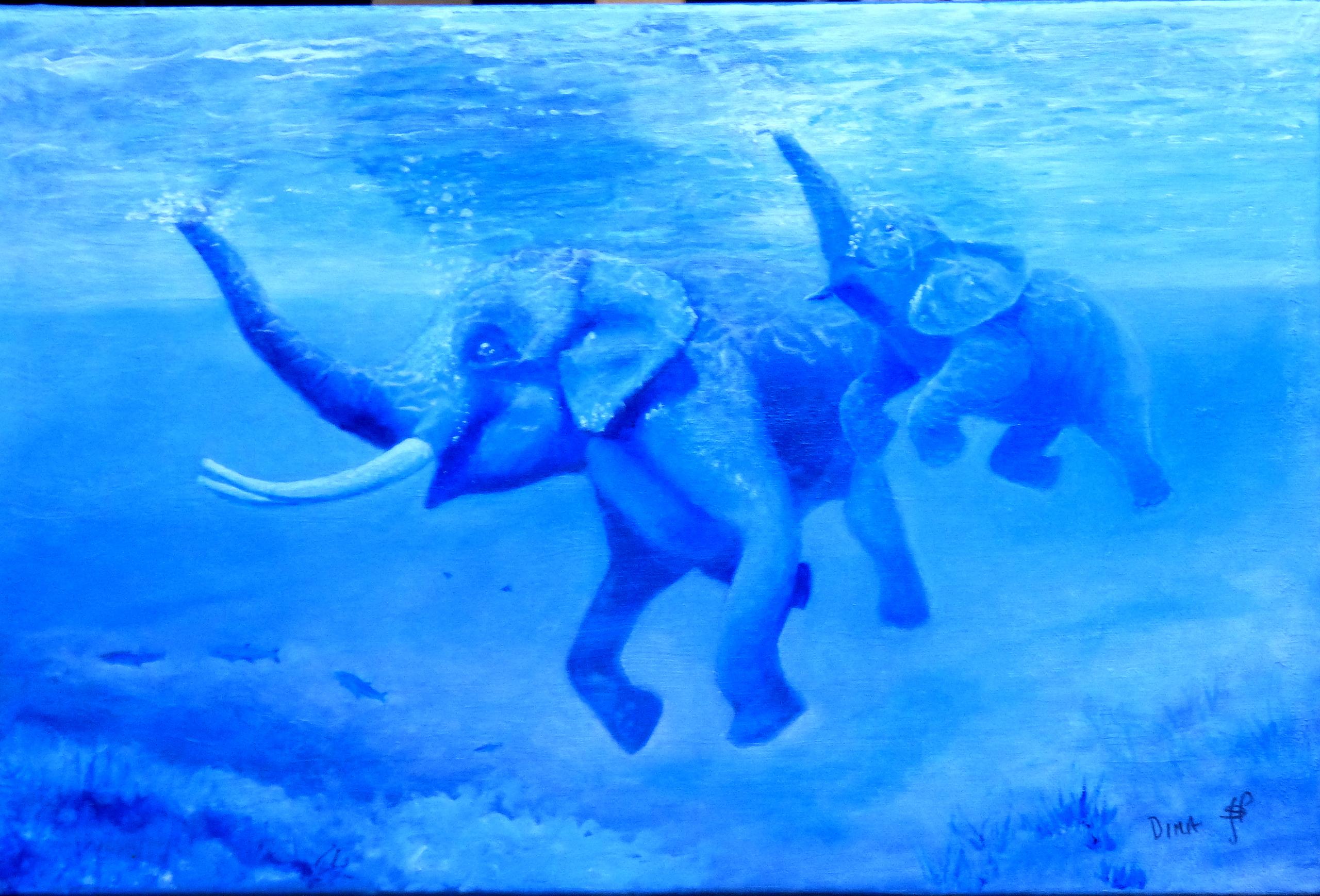 swimming elephants
