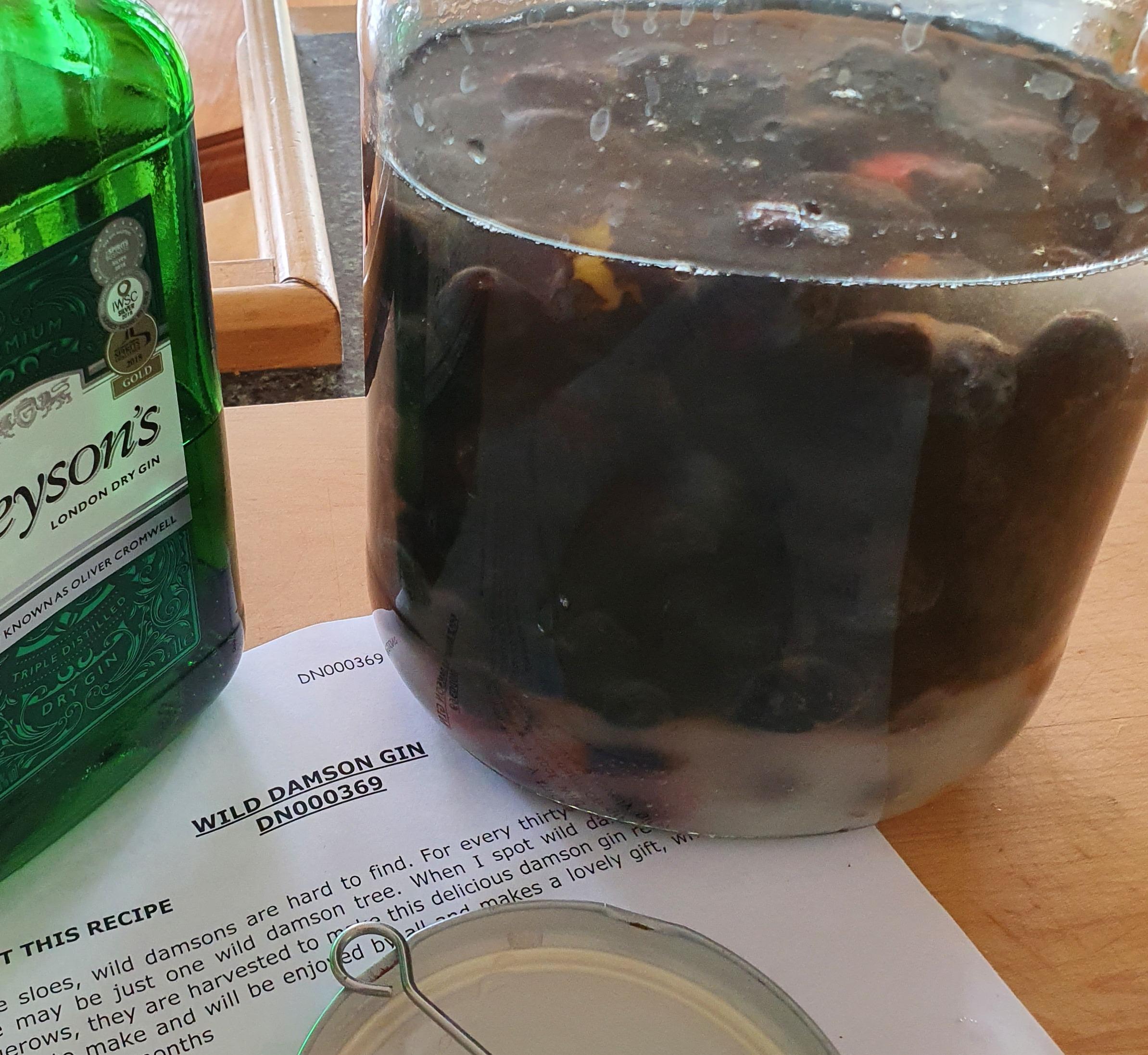 Wild Damson Gin