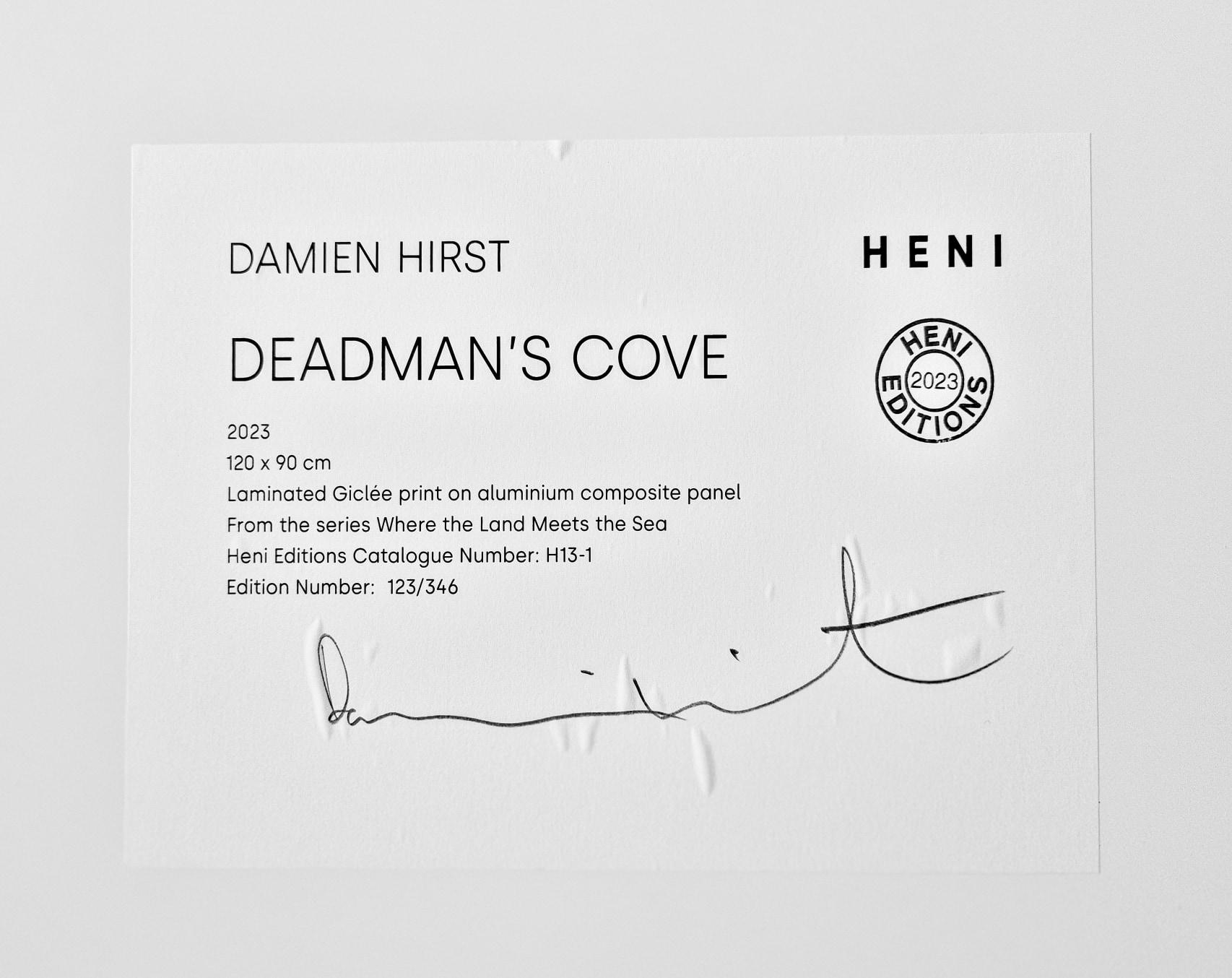 Damien Hirst - Deadman's Cove (H13-1)