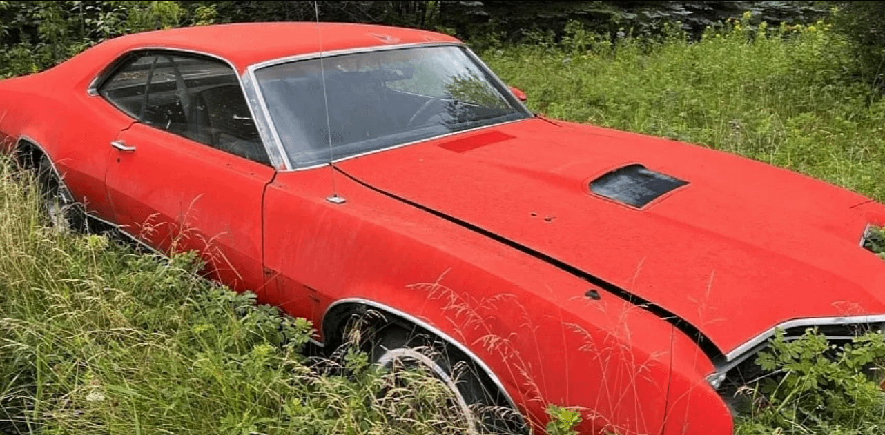 1970 Mercury Cyclone GT Literally Parked in the Bush Is Surprisingly Rare, 1-of-1