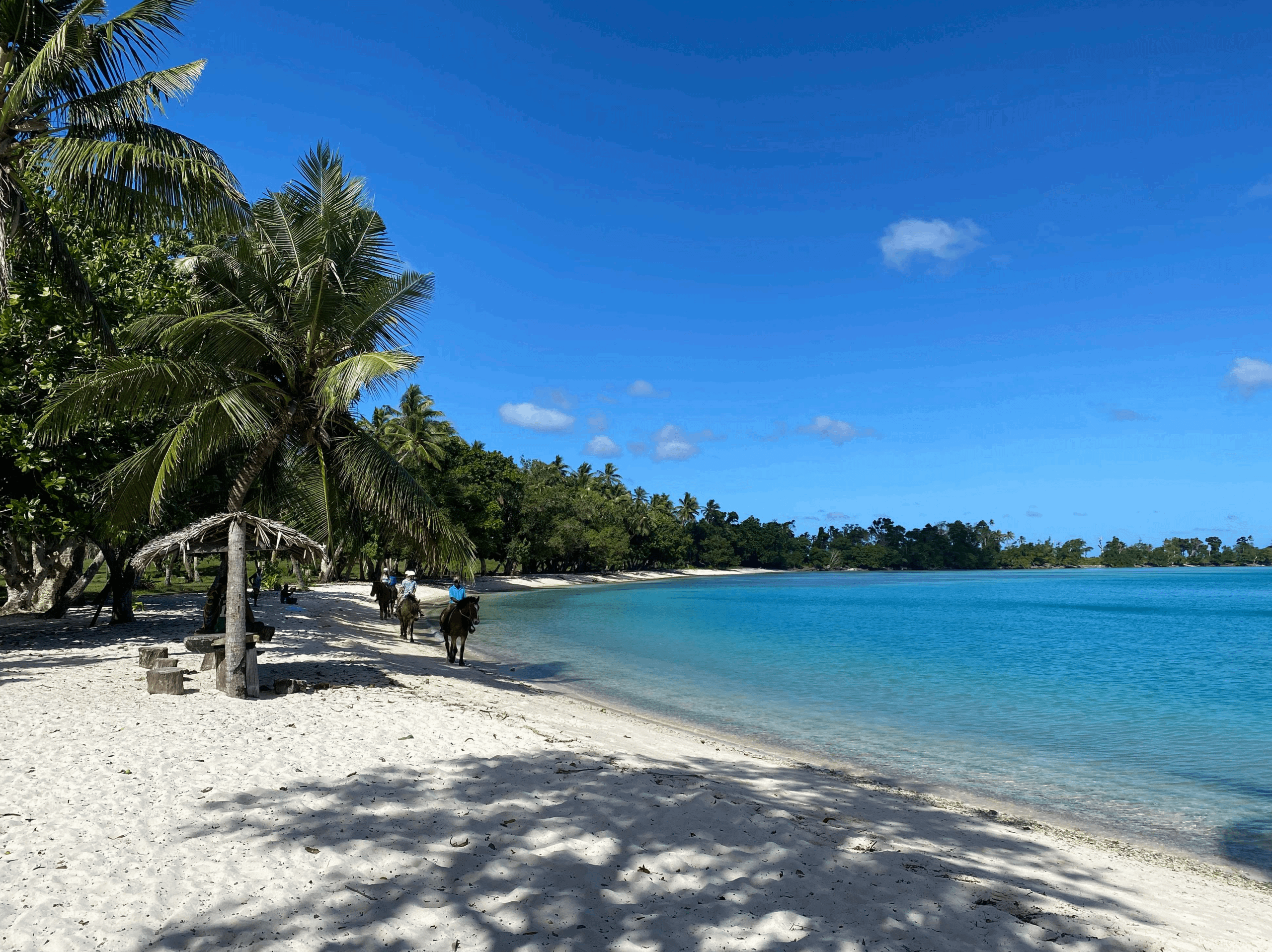 Vanuatu Gaming Licensing