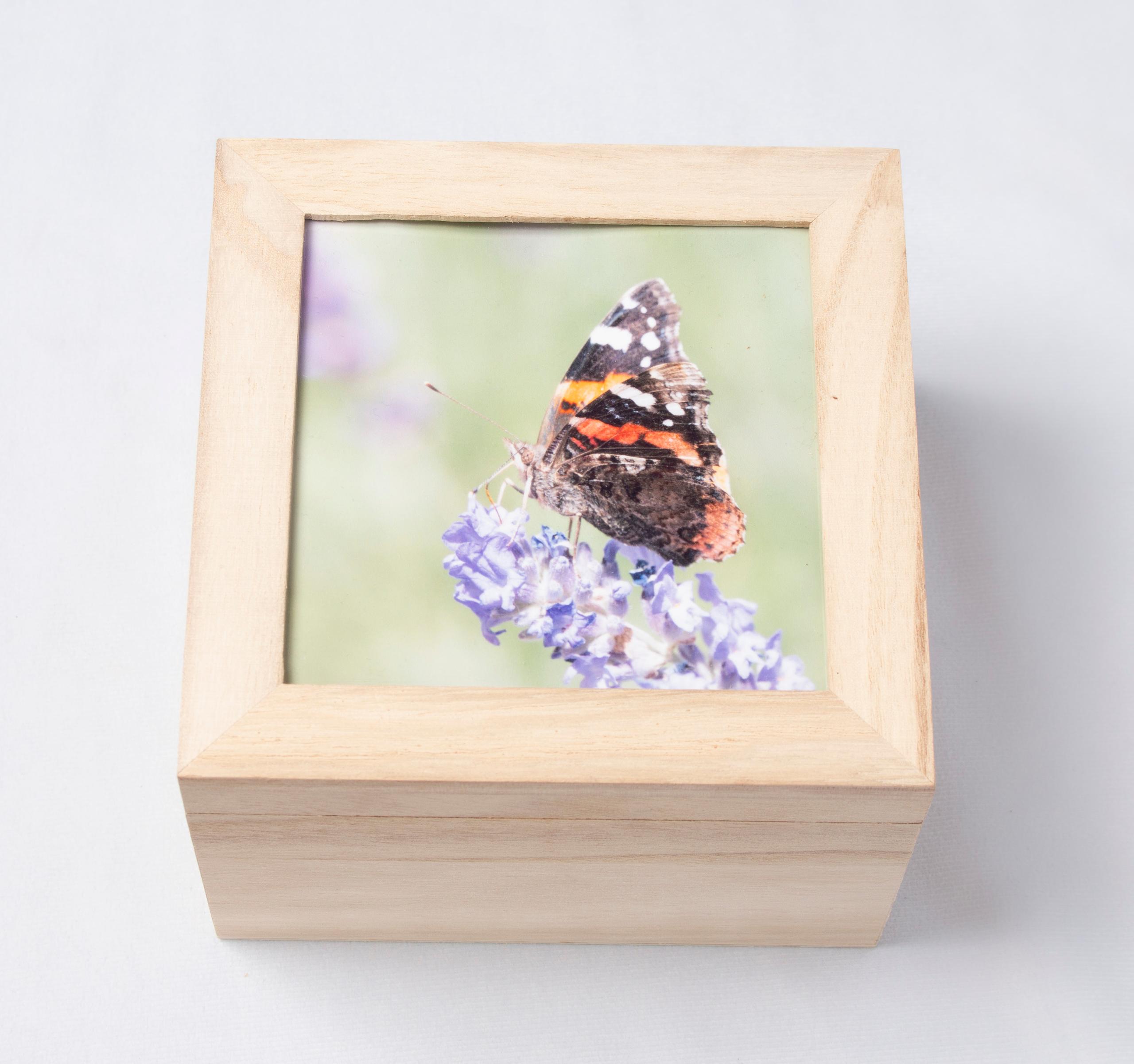 Red admiral butterfly box