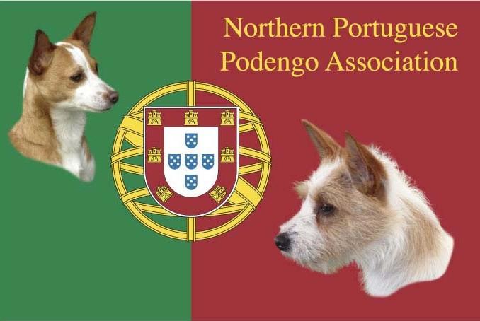 Portuguese Podengo Club