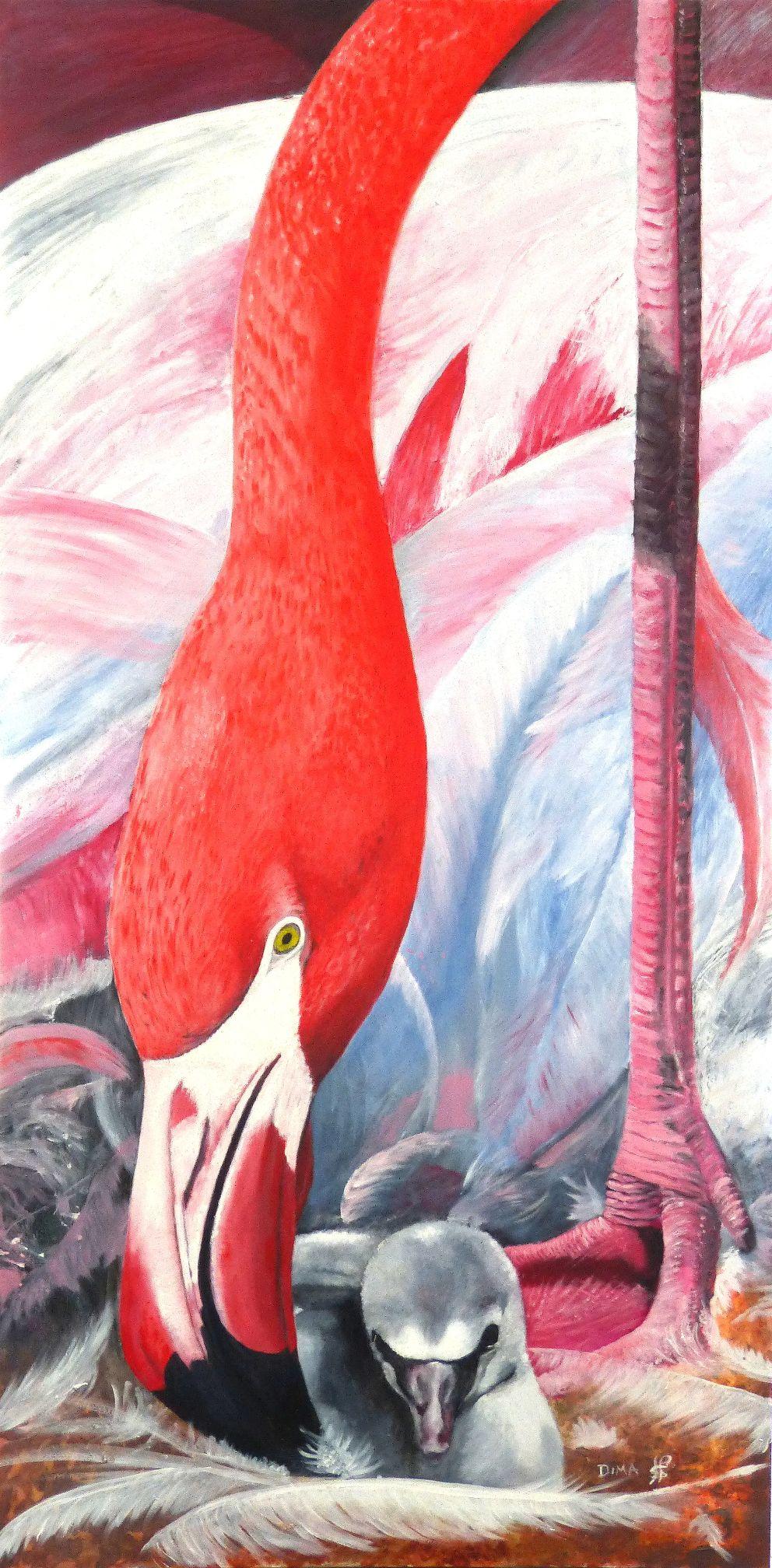 flamingo with chick, close up of head