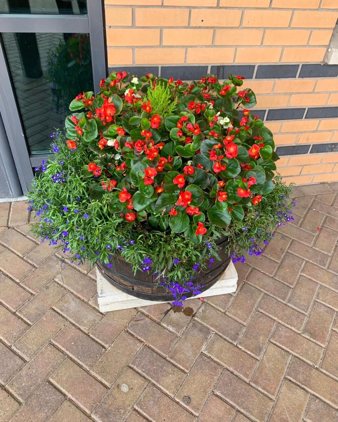 Needhams Nurseries Tickhill