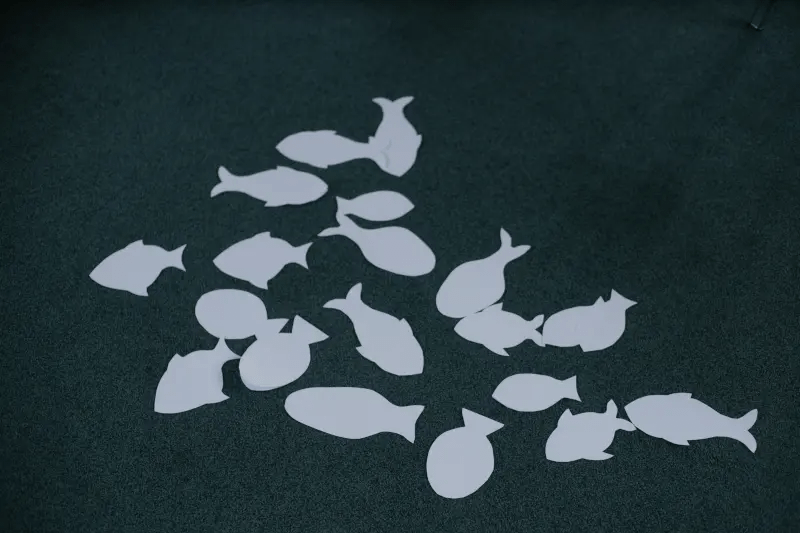 Paper fish game