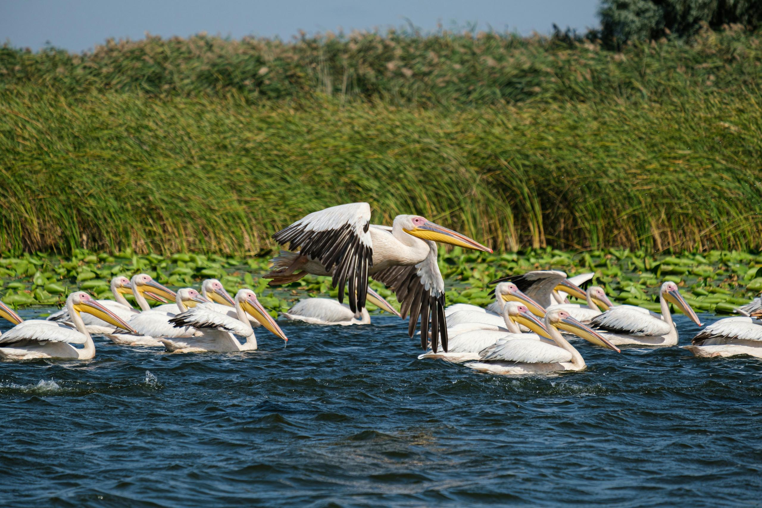 Mekong Marvels: THiET's Premier Tour