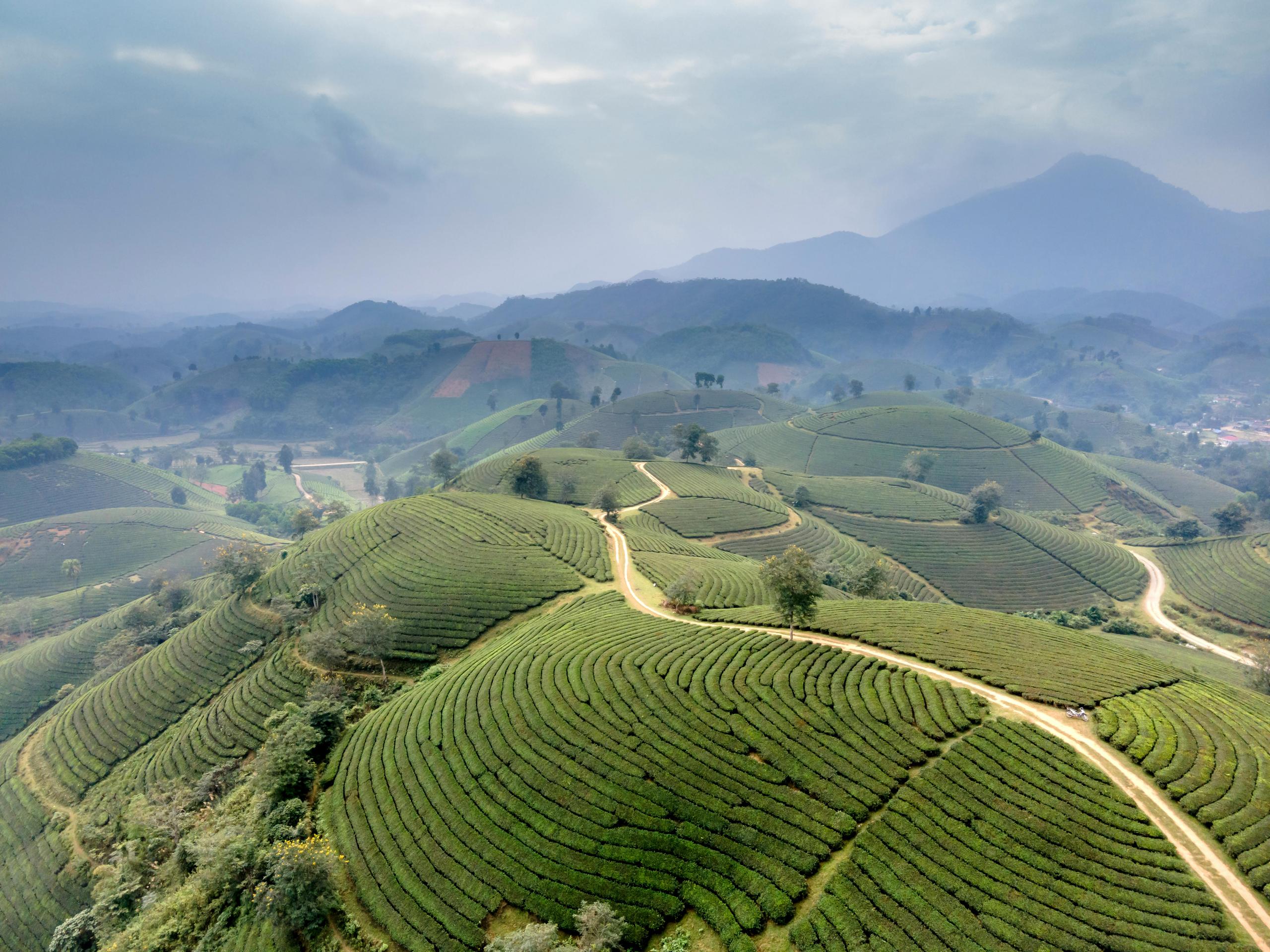 Discover Sapa's Majesty: THiET's Exclusive Tour