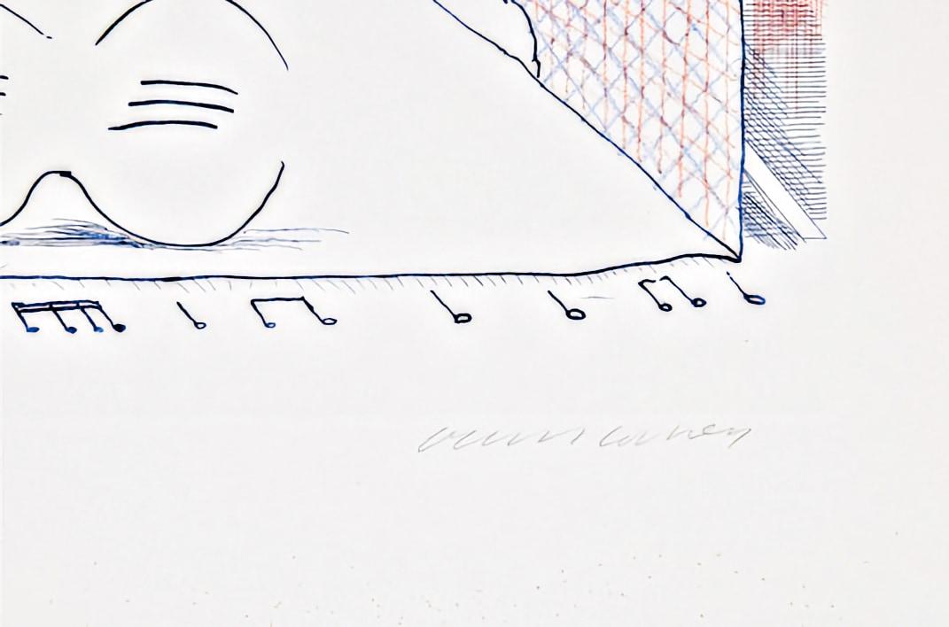 David Hockney - Discord Merely magnifies