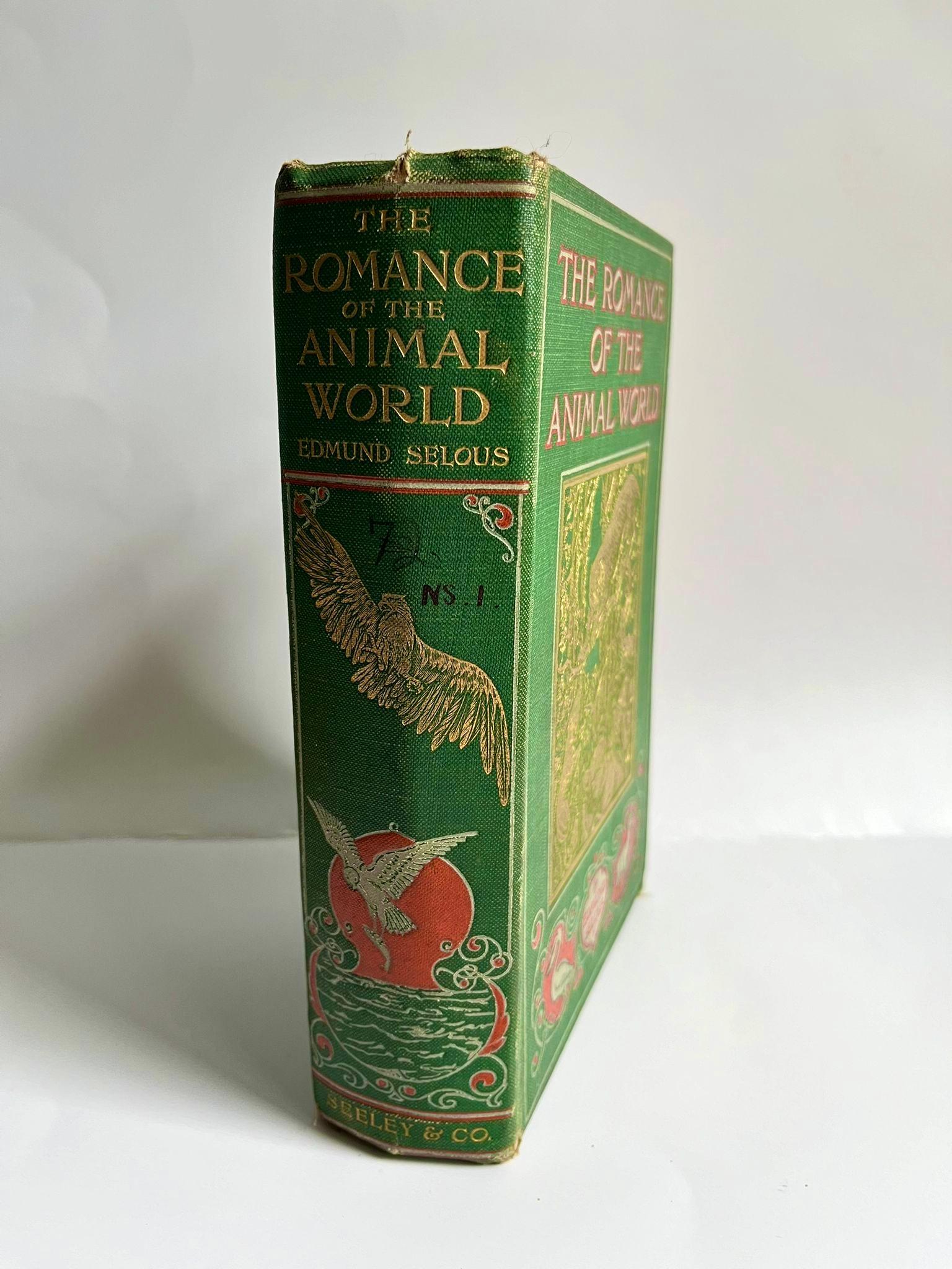 The Romance Of The Animal World by Edmund Selous